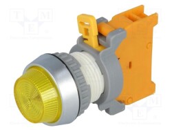 PLN22A-Y - AUSPICIOUS