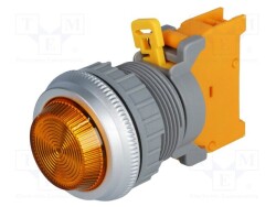 PLN30A-O - AUSPICIOUS