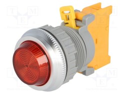 PLN30A-R - AUSPICIOUS