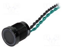 PS165P10Y21G12V - ONPOW