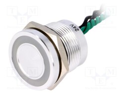 PS193P10Y01G24L - ONPOW