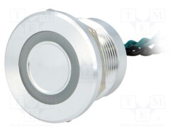 PS223P10Y01G12T - ONPOW