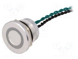 PS223P10Y01G24T - ONPOW