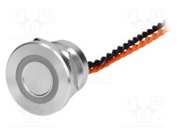 PS223P10Y01O12VT - ONPOW