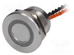 PS223P10Y01O24VT - ONPOW