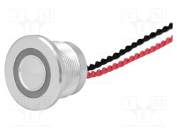 PS223P10Y01R12T - ONPOW