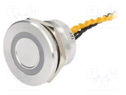 PS223P10Y01Y12T - ONPOW