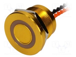 PS223P10Y31O12VT - ONPOW