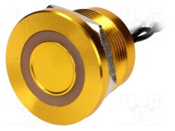 PS223P10Y31W12VT - ONPOW