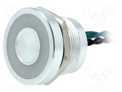 PS225P10Y01G24L - ONPOW