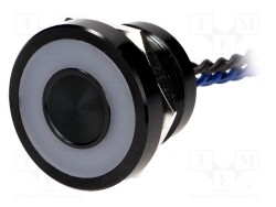 PS225P10Y21B12VL - ONPOW