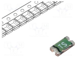 PTS12066V100 - EATON/BUSSMANN