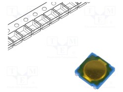PTS530GM055SMTR - C&K