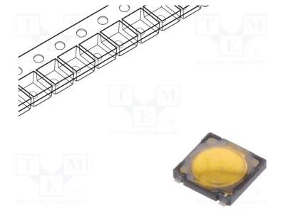 PTS530GS065SMTR - 1