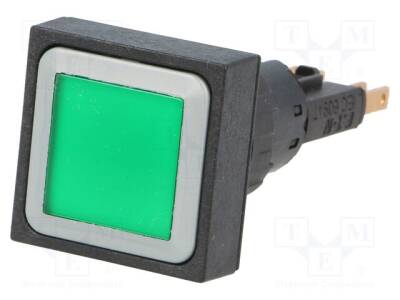 Q25LTR-GN/WB - 1