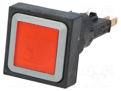 Q25LTR-RT/WB - 1