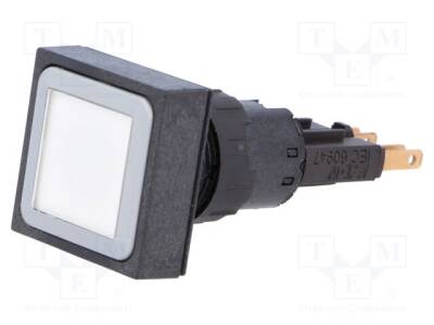 Q25LTR-WS/WB - 1