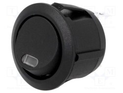 R13112LF02BBR0L3 - SCI