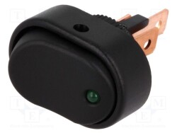 R13133L01BBGL1 - SCI