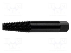 REN.4700063 - RENNSTEIG