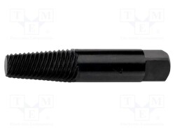 REN.4700073 - RENNSTEIG