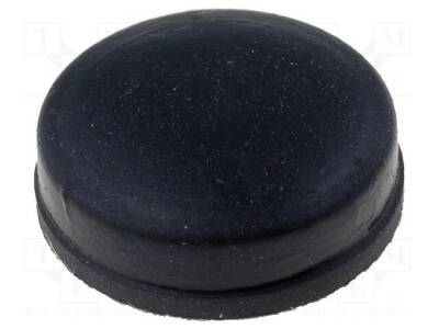 RF-004 - 1
