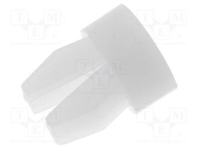 RI-MSNE-2-01 - 1