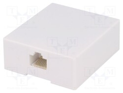 RJ45GN - NINIGI