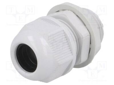 RNMG20X1.5L - 1