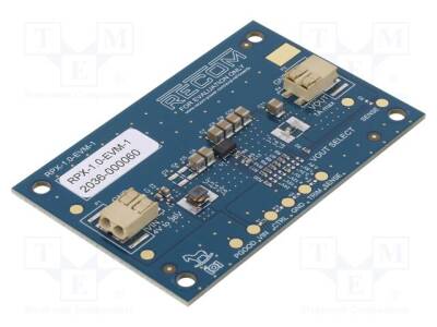 RPX-1.0-EVM-1 - 1