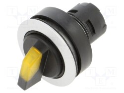 RRJSTAL-GB - SCHLEGEL