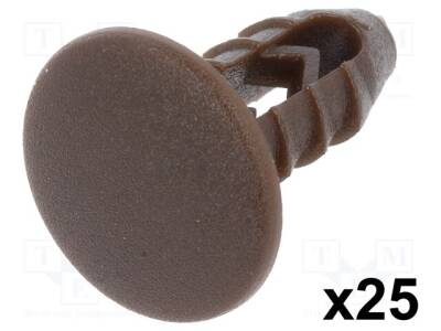 RX-10041 - 1