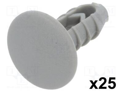 RX-10067 - 1