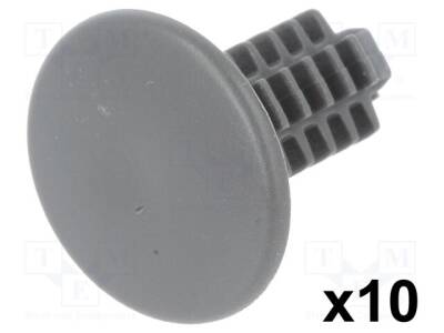 RX-10161 - 1