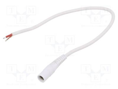 S21-TT-C100-025WH - 1