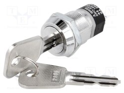 S286A-2 - HIGHLY ELECTRIC