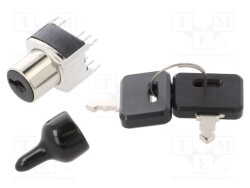 SK22AG13 - NKK SWITCHES