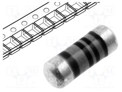 SMM02040C1002FB300 - 1