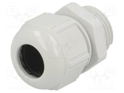 ST-M20-R7035 - 1