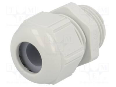 STR-M20-R7035 - 1