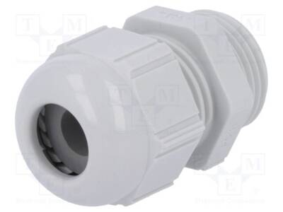 STR-PG-11-RAL-7035 - 1