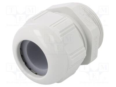 STR-PG-29-RAL-7035 - 1