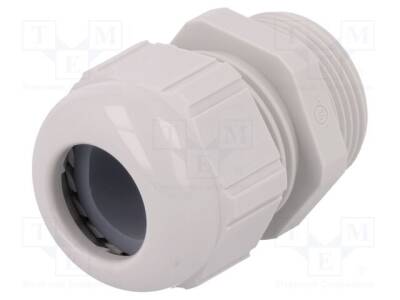 STR-PG-36-RAL-7035 - 1