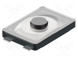 SWT7010-005716SSA - GCT