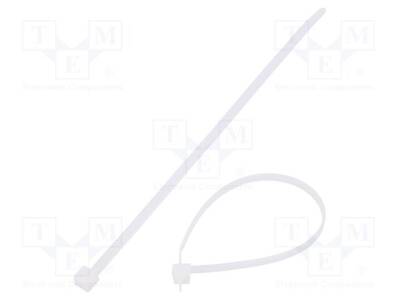 T40R-PA66-NA-100 - 1