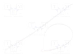 T50I-PA66-NA-100 - HELLERMANNTYTON