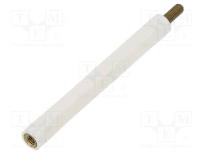 TFM-M3X55/DR2183 - 1