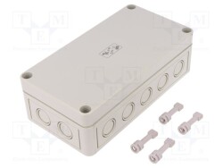 TK-PS-1809-6-M - SPELSBERG