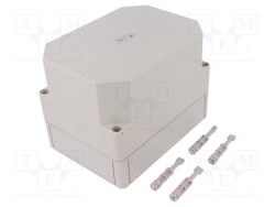 TK-PS-1813-13F-O - SPELSBERG