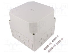 TK-PS-1818-16-M - SPELSBERG